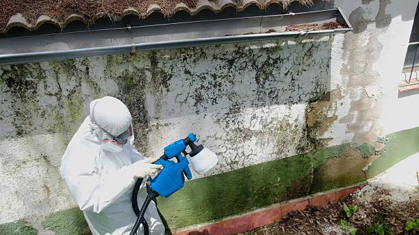 Mold Remediation service in Oregon City, Oregon City, OR